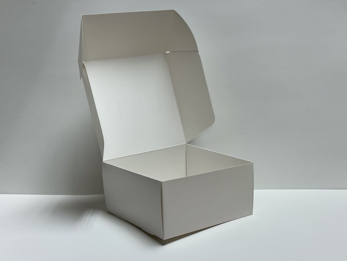 Caja Mediana (20 x 20 x 10 cm)