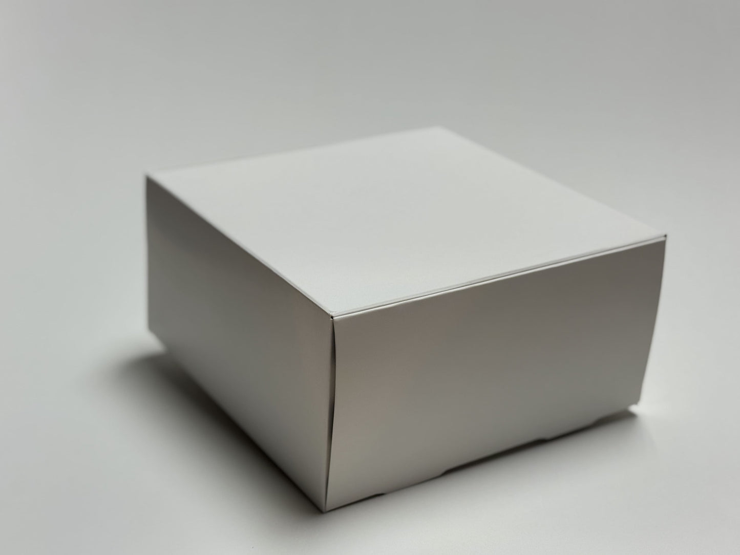 Caja Mediana (20 x 20 x 10 cm)
