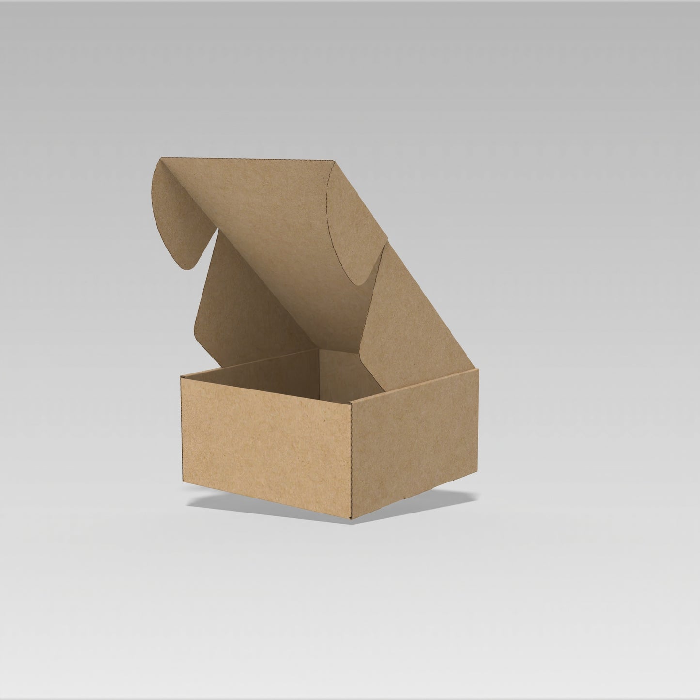 Caja Mediana Resistente (20 x 20 x 10 cm)