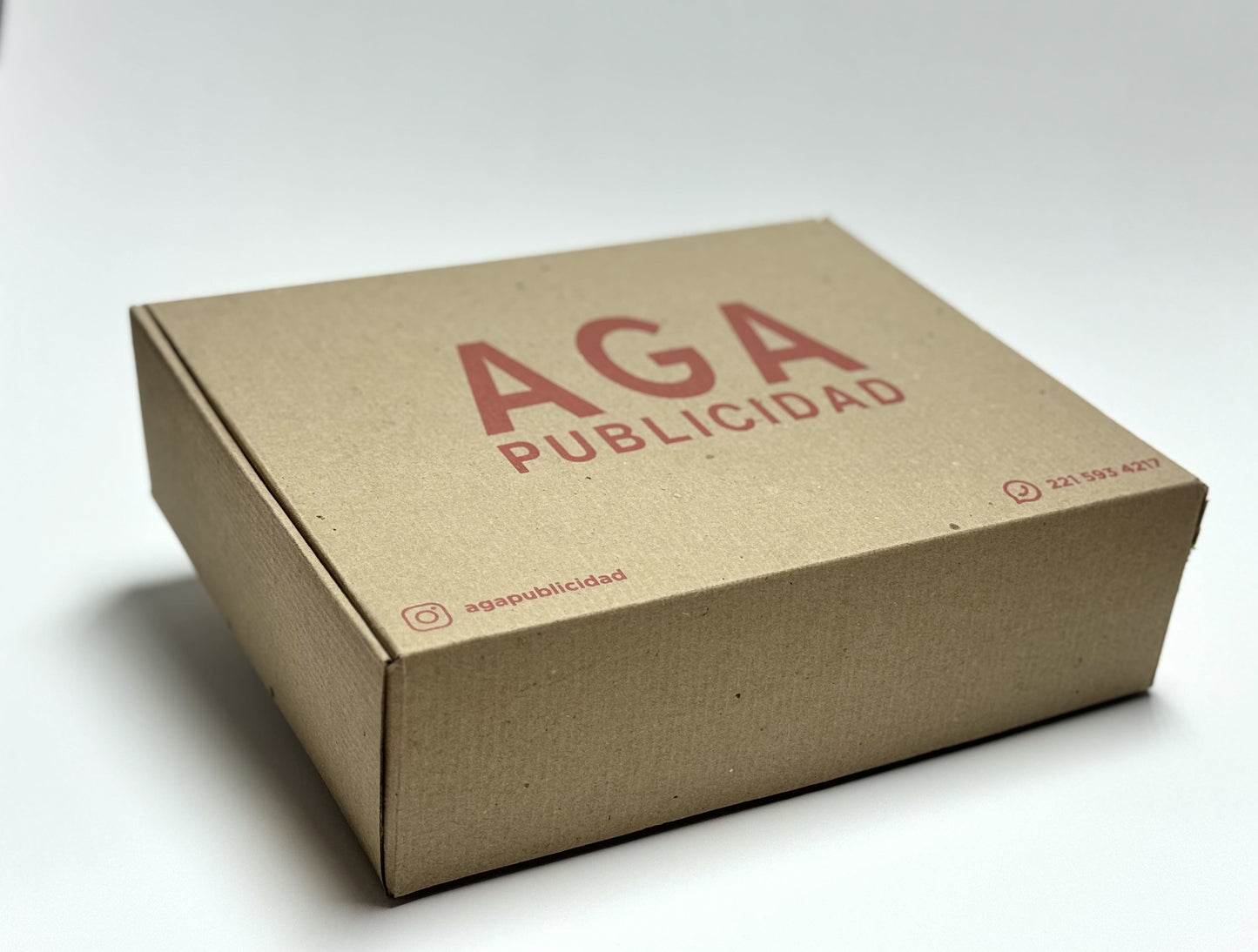 Caja Grande  Resistente (28 x 23 x 8 cm)