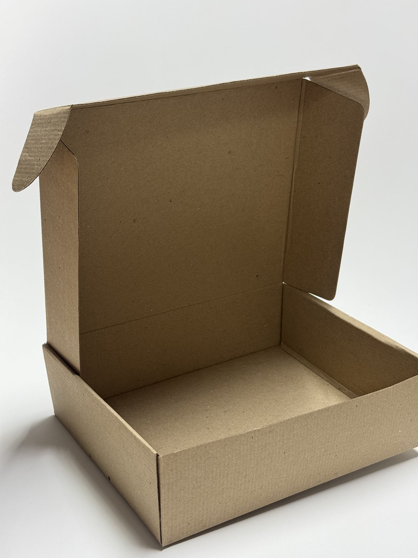 Caja Grande  Resistente (28 x 23 x 8 cm)