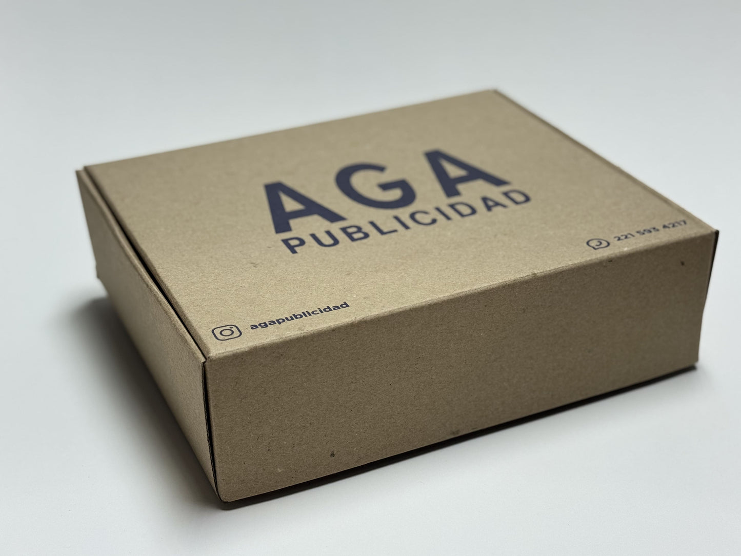 Caja Grande  Resistente (28 x 23 x 8 cm)