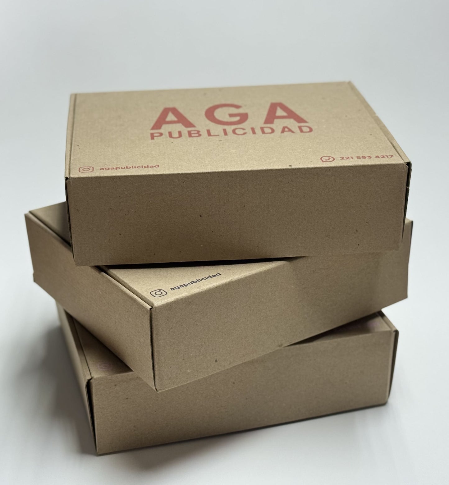 Caja Grande  Resistente (28 x 23 x 8 cm)