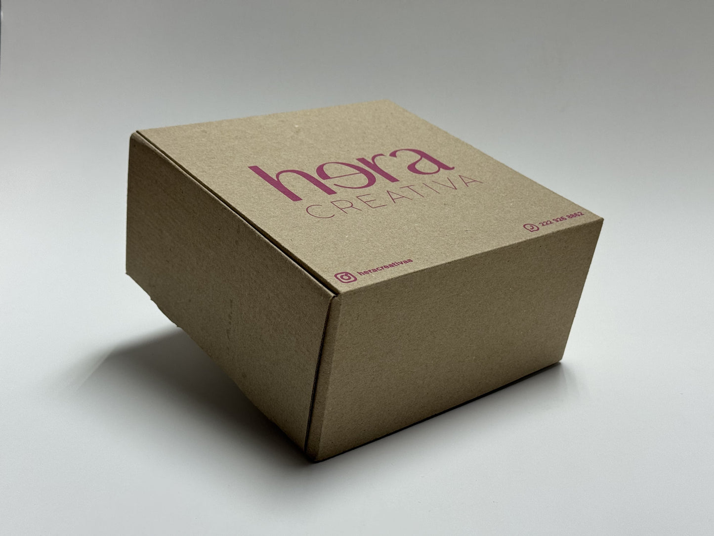 Caja Mediana Resistente (20 x 20 x 10 cm)
