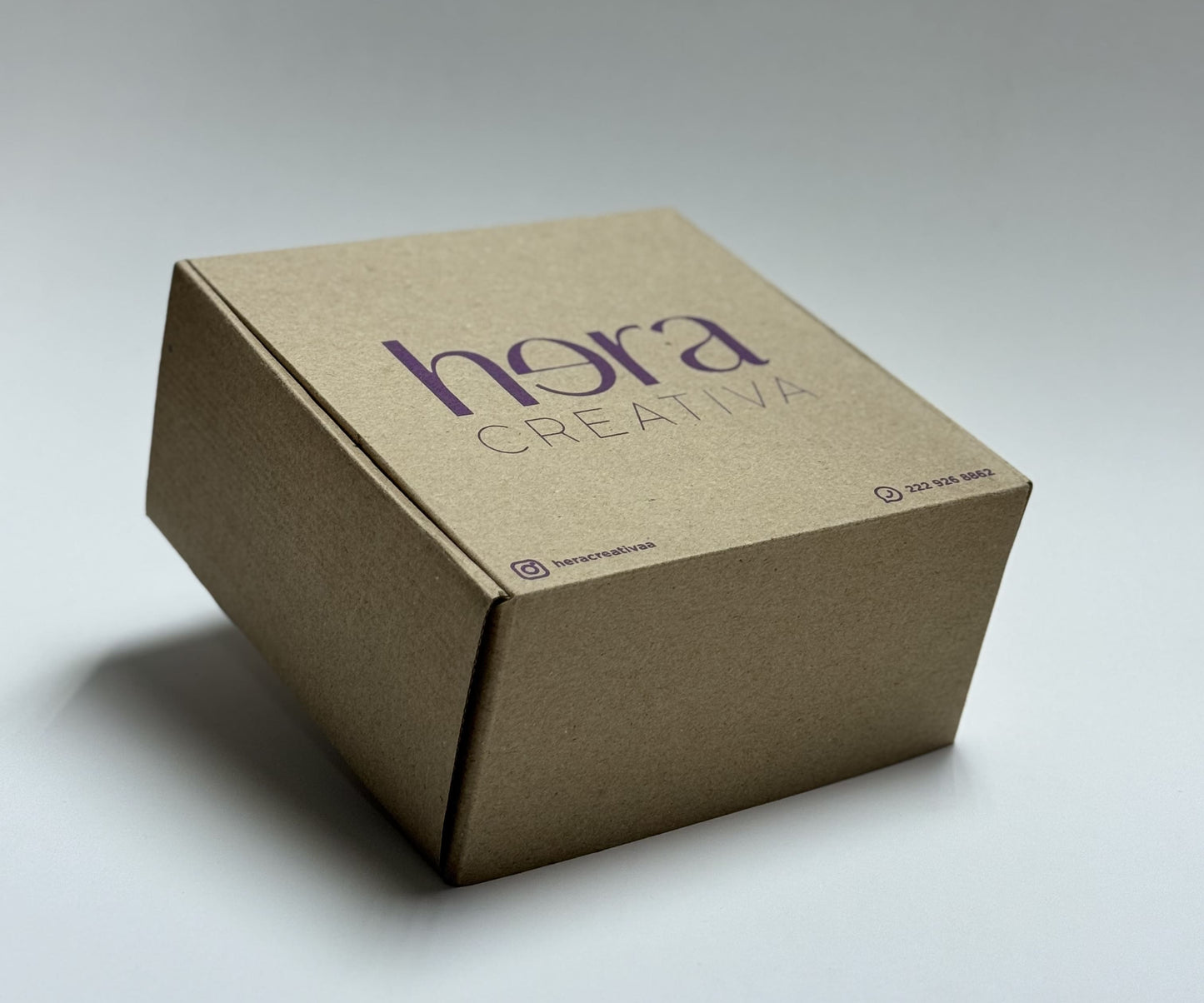 Caja Mediana Resistente (20 x 20 x 10 cm)